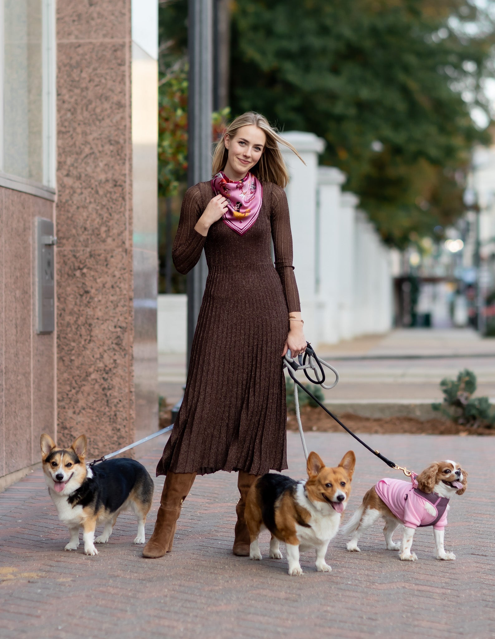 Magenta - Tails of New York