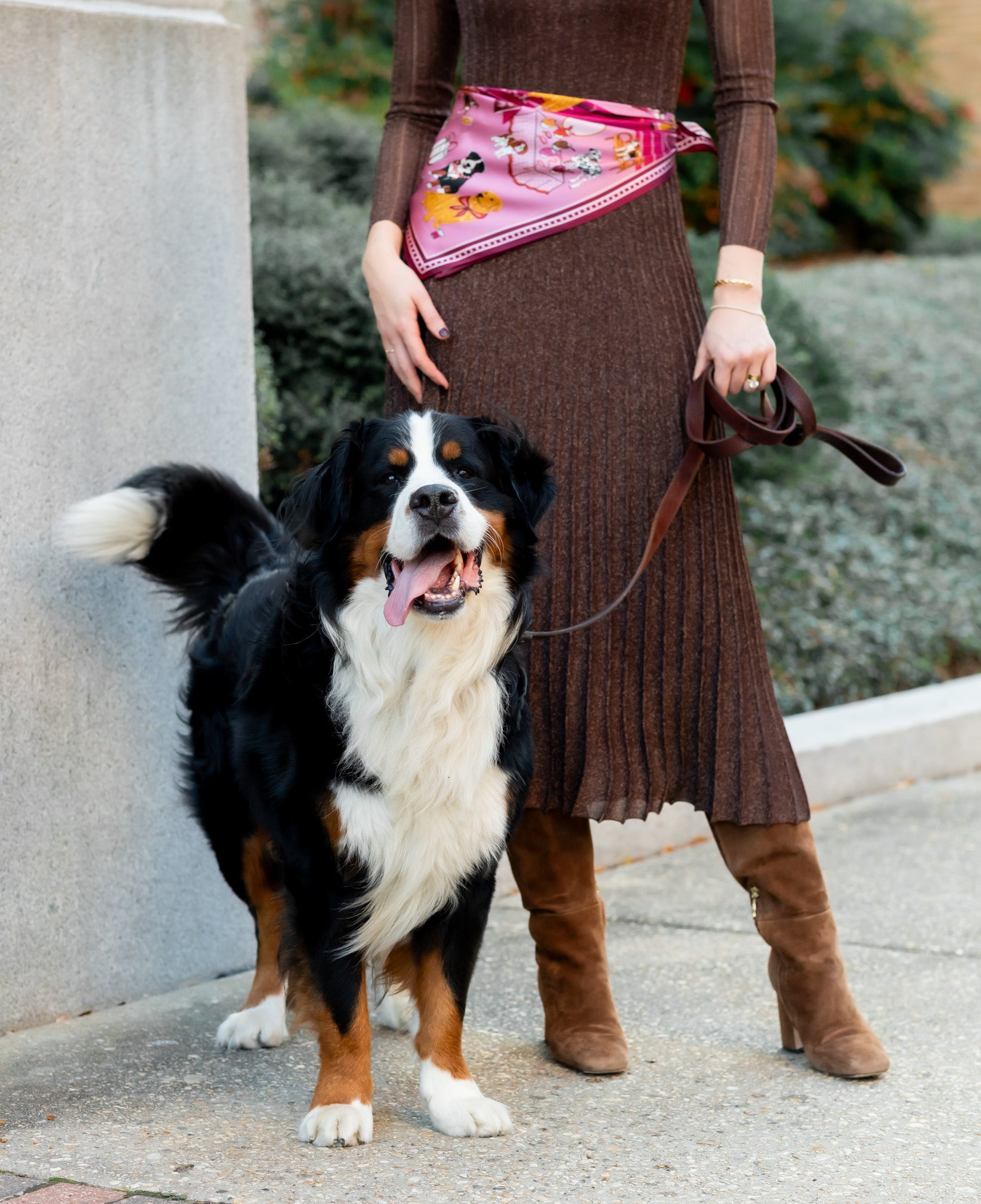 Magenta - Tails of New York